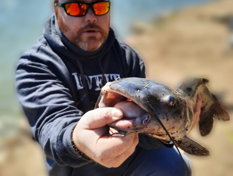 A photo of Bob Gray Anything Outdoors's catch