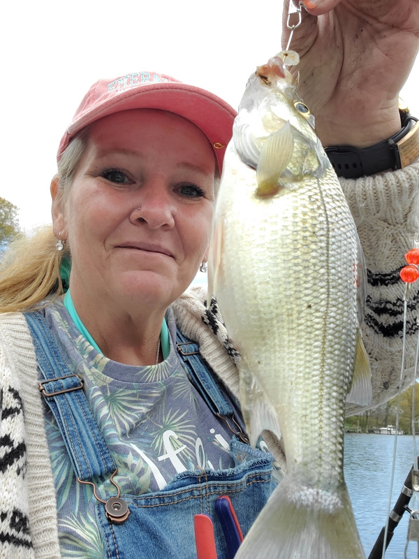 A photo of Guppie  Girl's catch