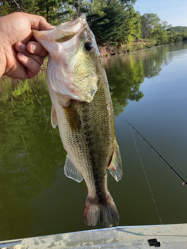 A photo of Lance Miller's catch