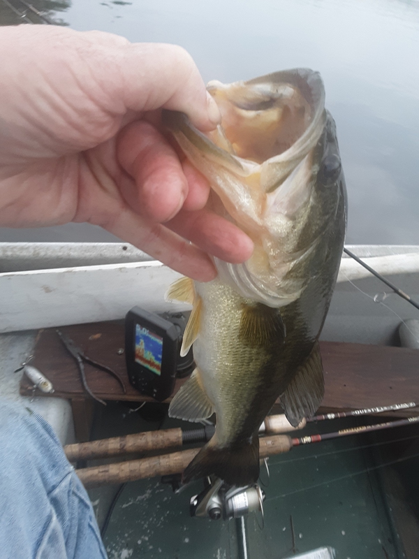 A photo of Bill Staudt's catch