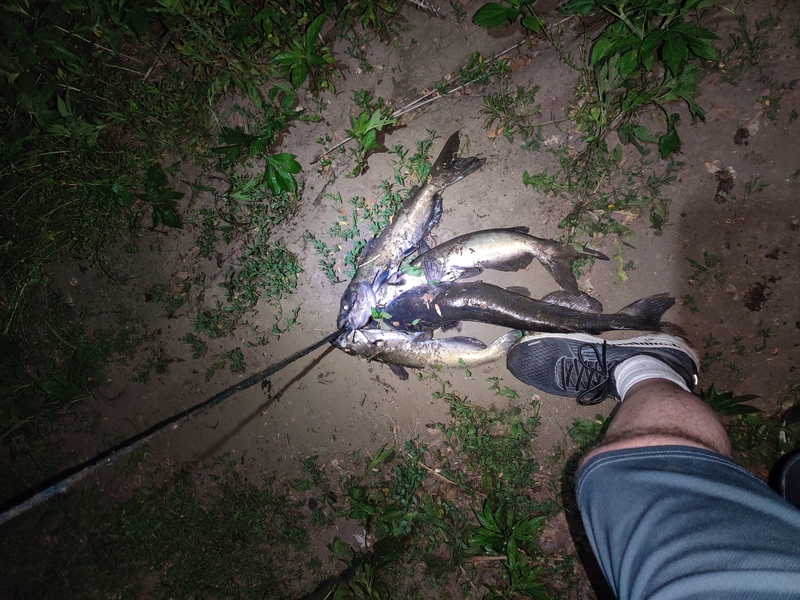 A photo of Aaron DeVos's catch