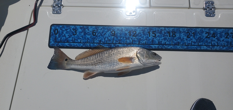 A photo of PJ Scott's catch