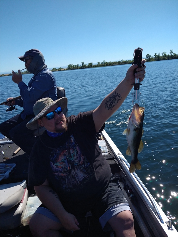 Fishidy