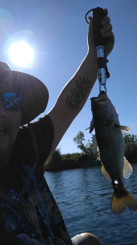 Fishidy