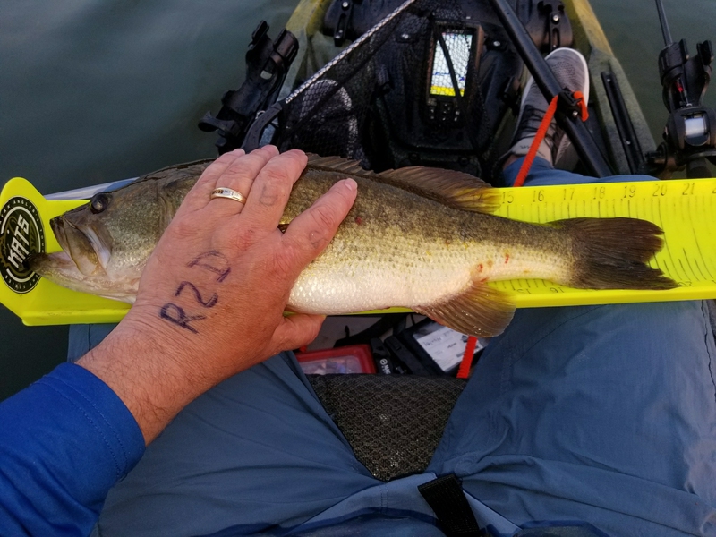 A photo of David Nunley's catch