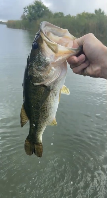 FISHING DECKER LAKE (WALTER E. LONG) IN AUSTIN WITH CROSSRHOADES FISHING 