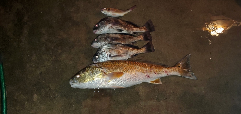 A photo of Melody Nally's catch