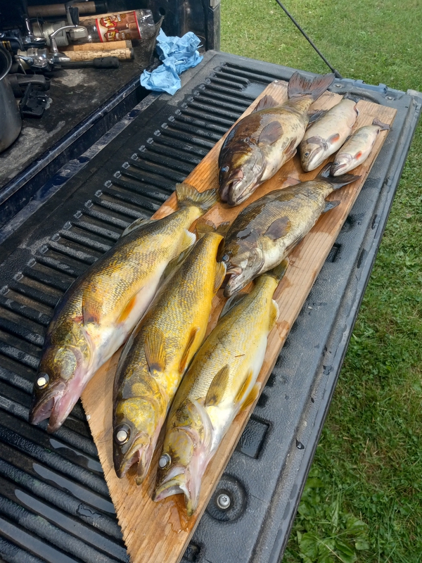 A photo of Dave Jerry's catch