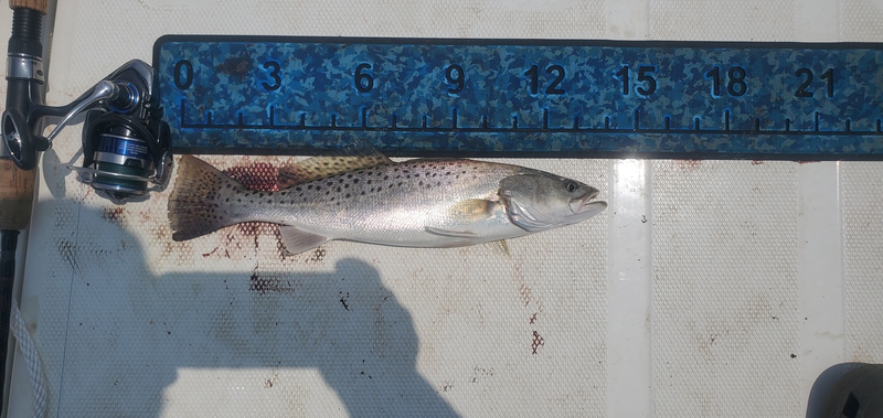 A photo of PJ Scott's catch