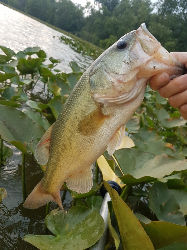 A photo of Caitlin Kurjian 's catch