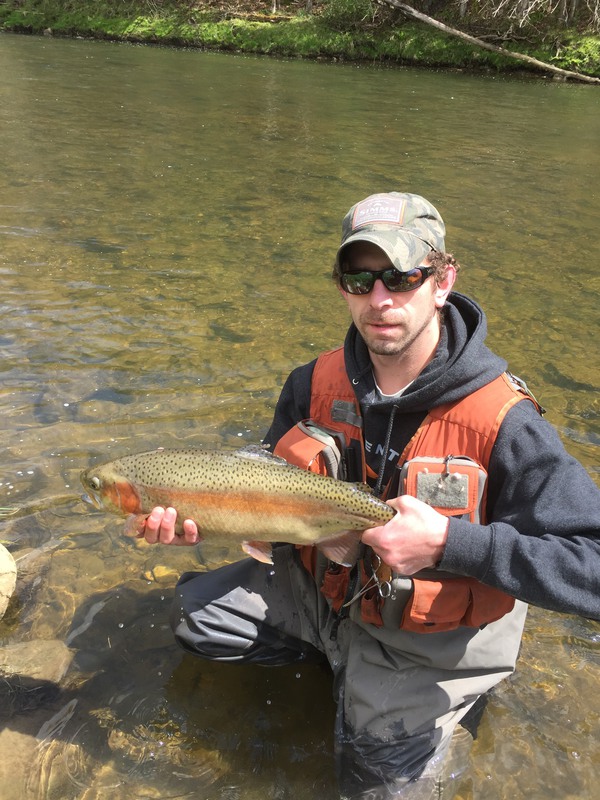 Toms Run PA Fishing Reports, Maps & Hot Spots