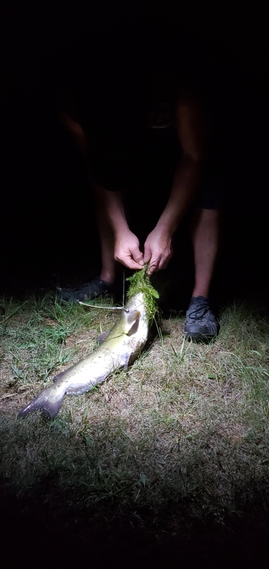 A photo of Tanya Lynn's catch