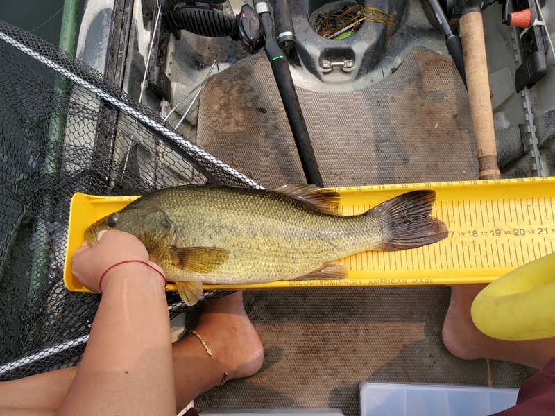 A photo of Asian Bucket  Man's catch
