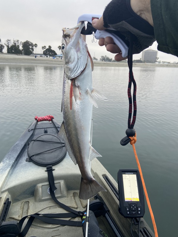 A photo of Brian Green's catch