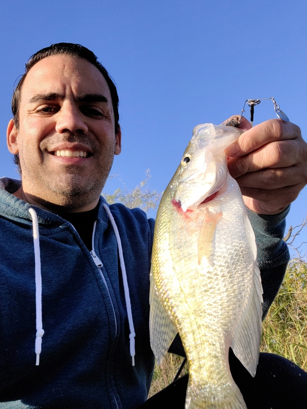A photo of Anthony F's catch