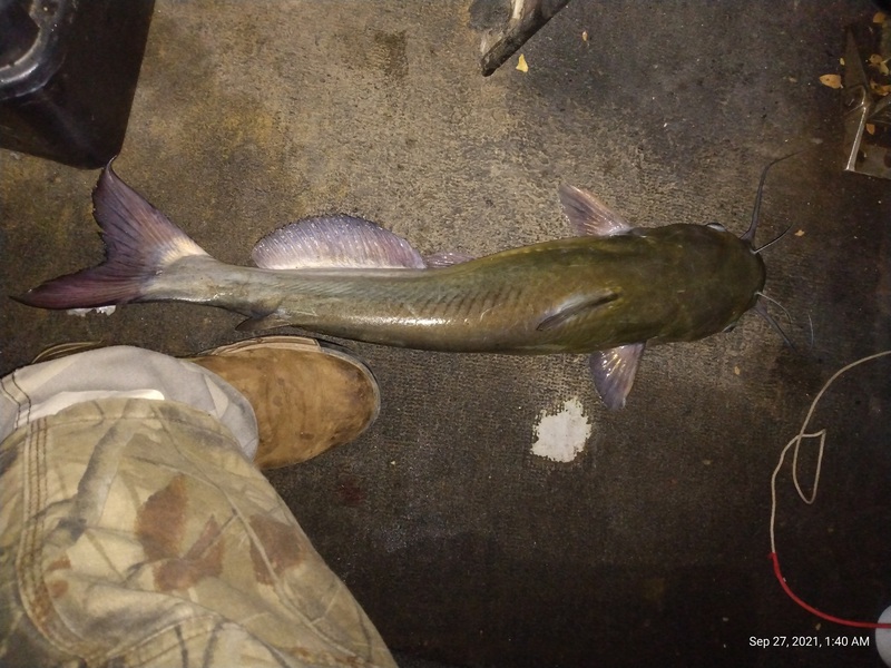 A photo of SHELLY CAMP's catch