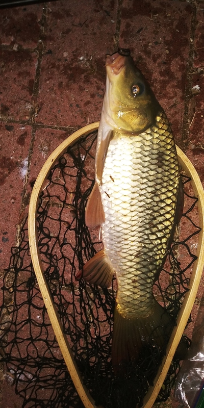 A photo of Nathan Hoopes's catch