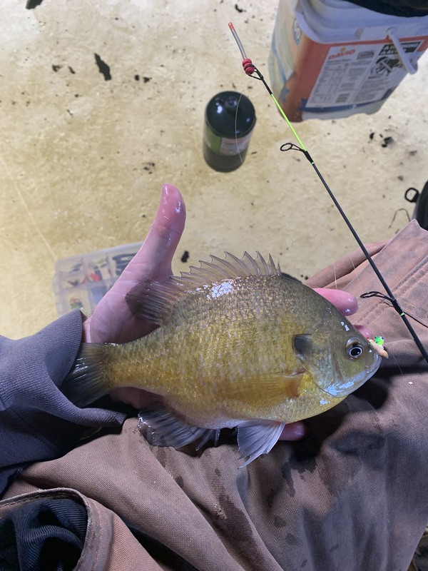 A photo of Tenike TenEyck's catch