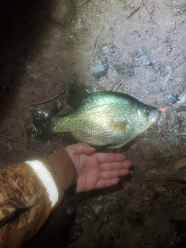 A photo of Asian Bucket  Man's catch