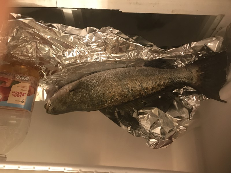 A photo of Mox Lee's catch