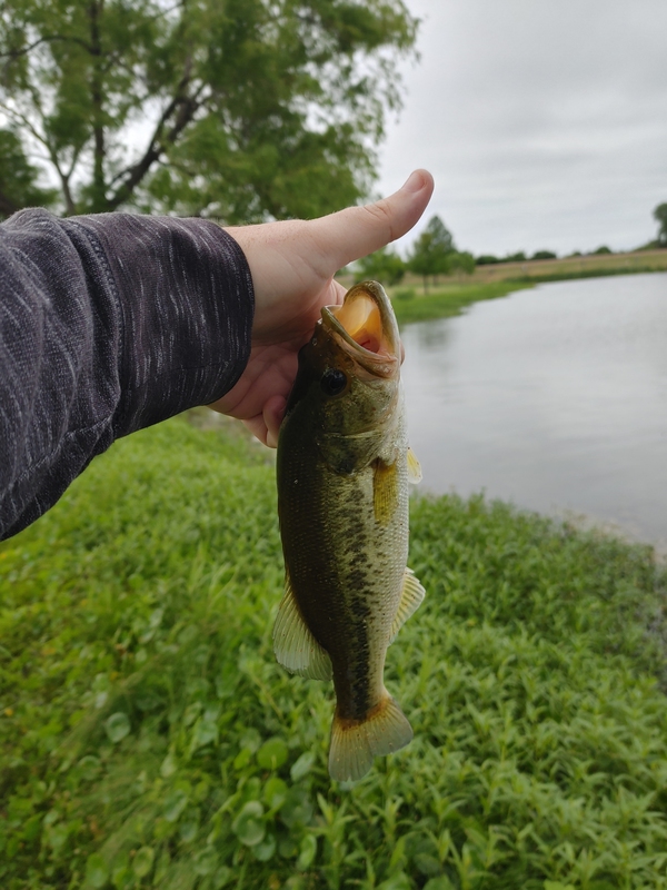 A photo of Sean  Franklin's catch