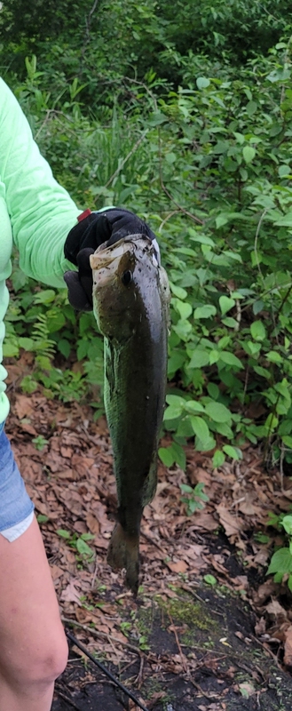 A photo of Matt  Hinckley's catch