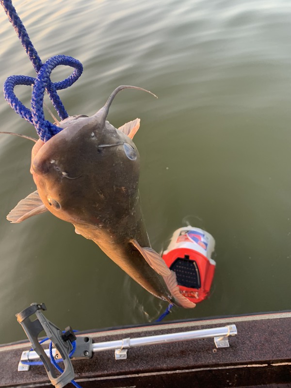 A photo of Lawrence Holt's catch