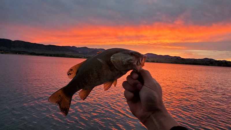 A photo of Tyler Ly's catch