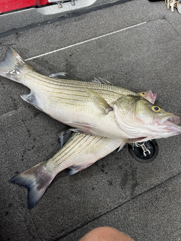 A photo of Mike May's catch