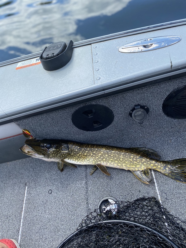 A photo of Jack Nigon's catch