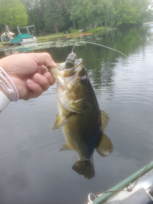 A photo of Asian Bucket  Man's catch