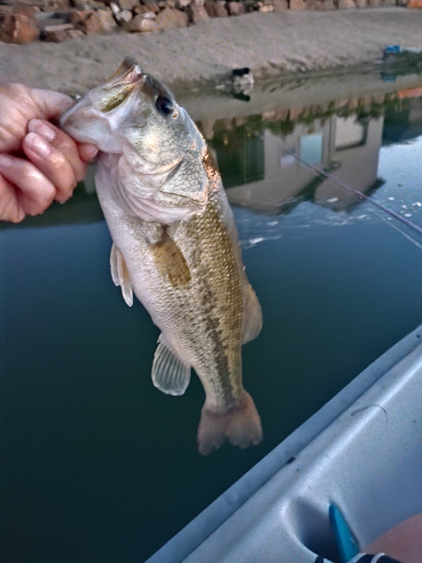A photo of Lori Unger's catch