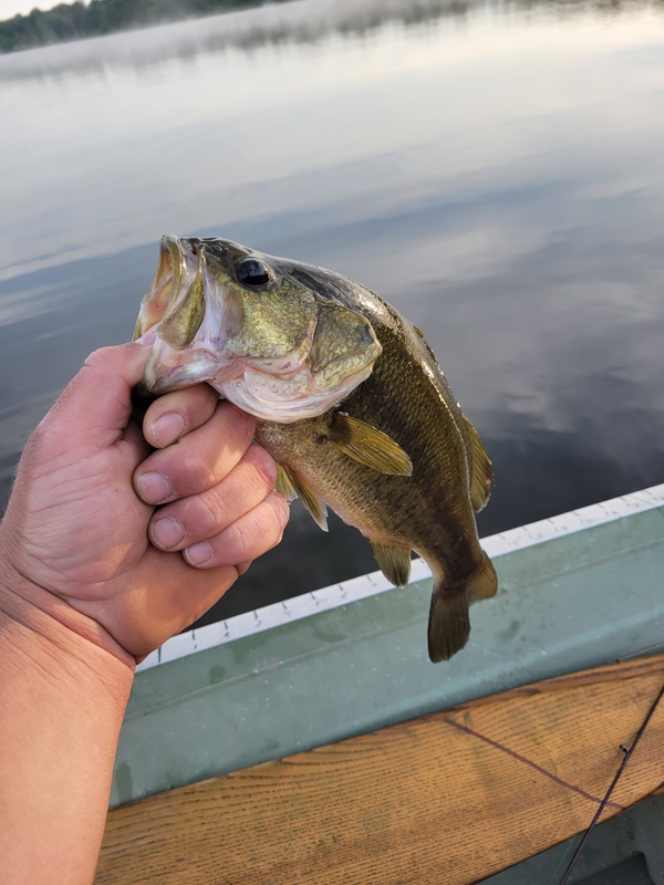 A photo of Tommy DeWitt's catch