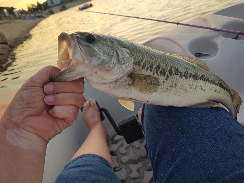 A photo of Lori Unger's catch