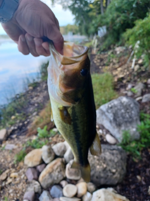 A photo of Neil Levey's catch
