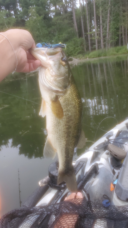 A photo of Asian Bucket  Man's catch