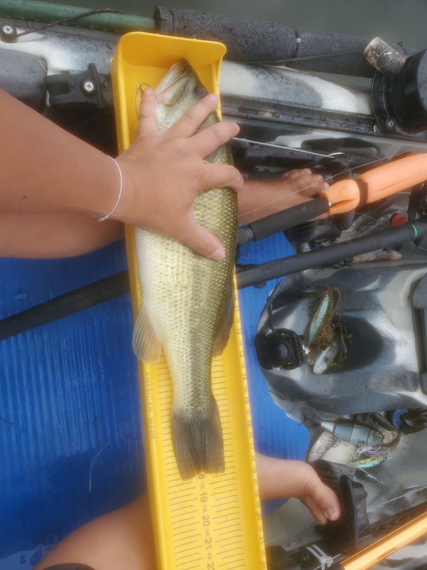 A photo of Asian Bucket  Man's catch