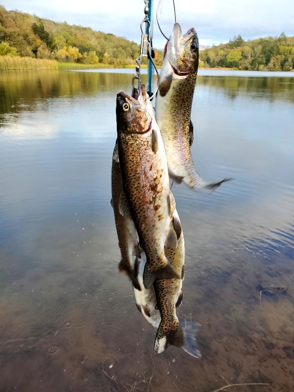A photo of R B's catch