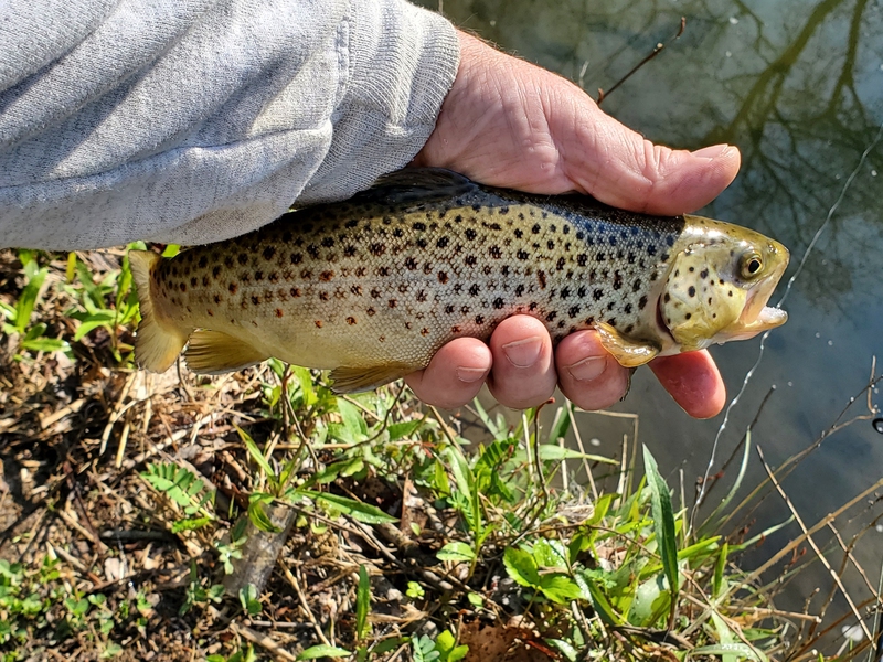 A photo of Jeff Beers's catch