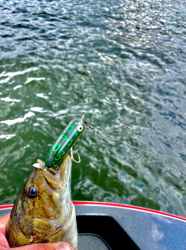 best lure for bay fishing Hooks, Lines, and Lures for Saltwater Fishing