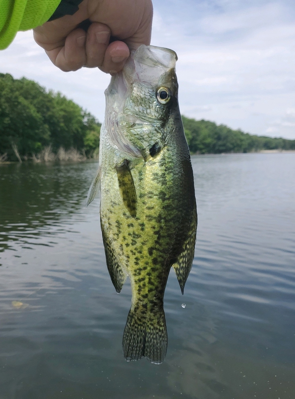 A photo of Jeff Beers's catch