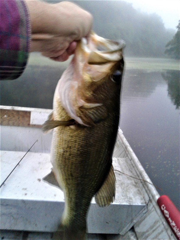 A photo of Richard Wynne's catch