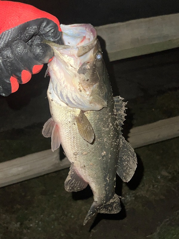 A photo of Jonathon Johnson's catch