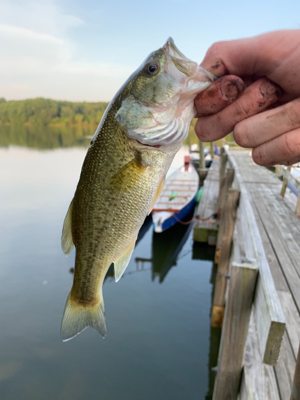 A photo of Leo Onorato's catch