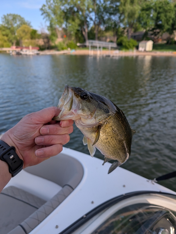 A photo of Tyler Pope's catch