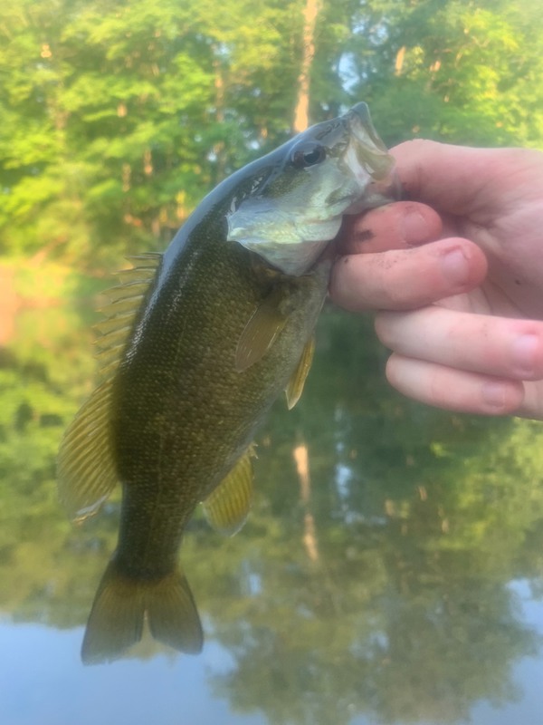 A photo of Leo Onorato's catch