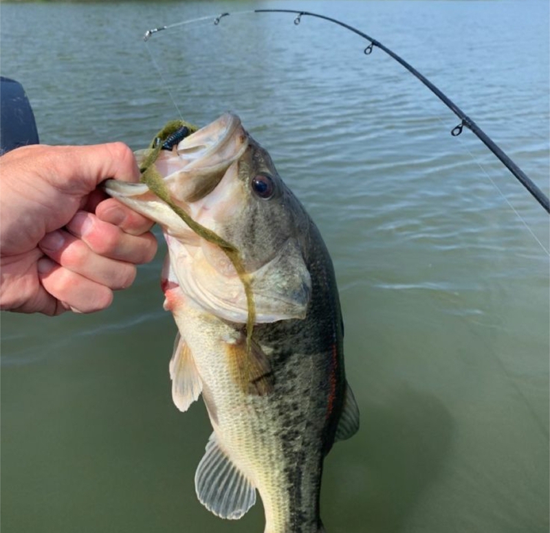 A photo of Tamara Griggs's catch