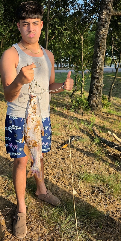 A photo of Jonathan  Bell 's catch