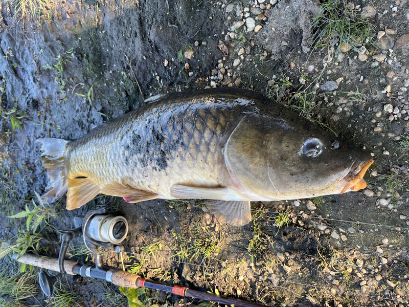 A photo of George Horvath's catch