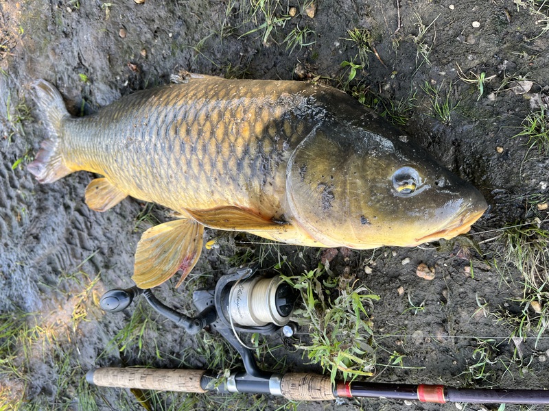 A photo of George Horvath's catch